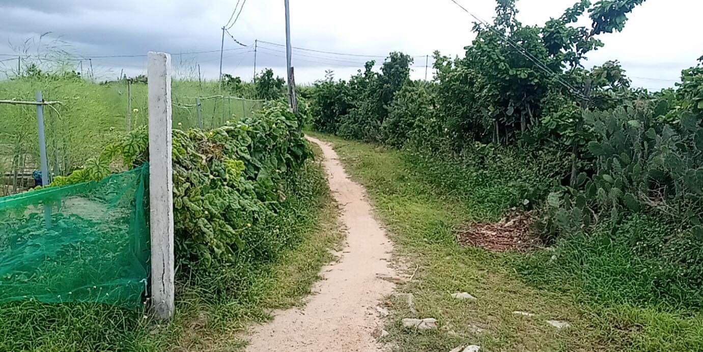 Đất nền 4 Sào tại Tuấn Tú, Phước Dinh - Giá cả thỏa thuận, cơ hội đầu tư hấp dẫn!