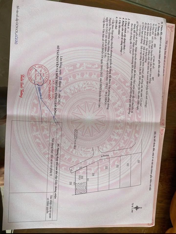 Đất thổ cư 225m² tại thôn 8 Lộc Ngãi giá chỉ 800 triệu - Cơ hội đầu tư tuyệt vời!