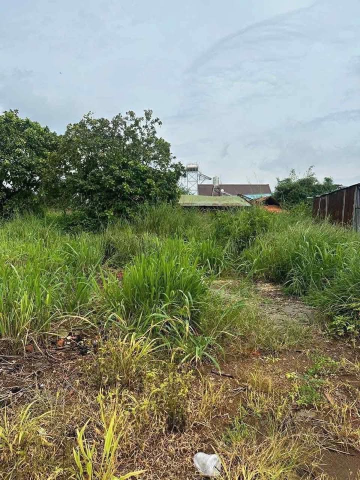 Đất mặt tiền nhựa xã Đông Hoà, 770m² giá 2.7 tỷ - Đầu tư sinh lời tiềm năng!