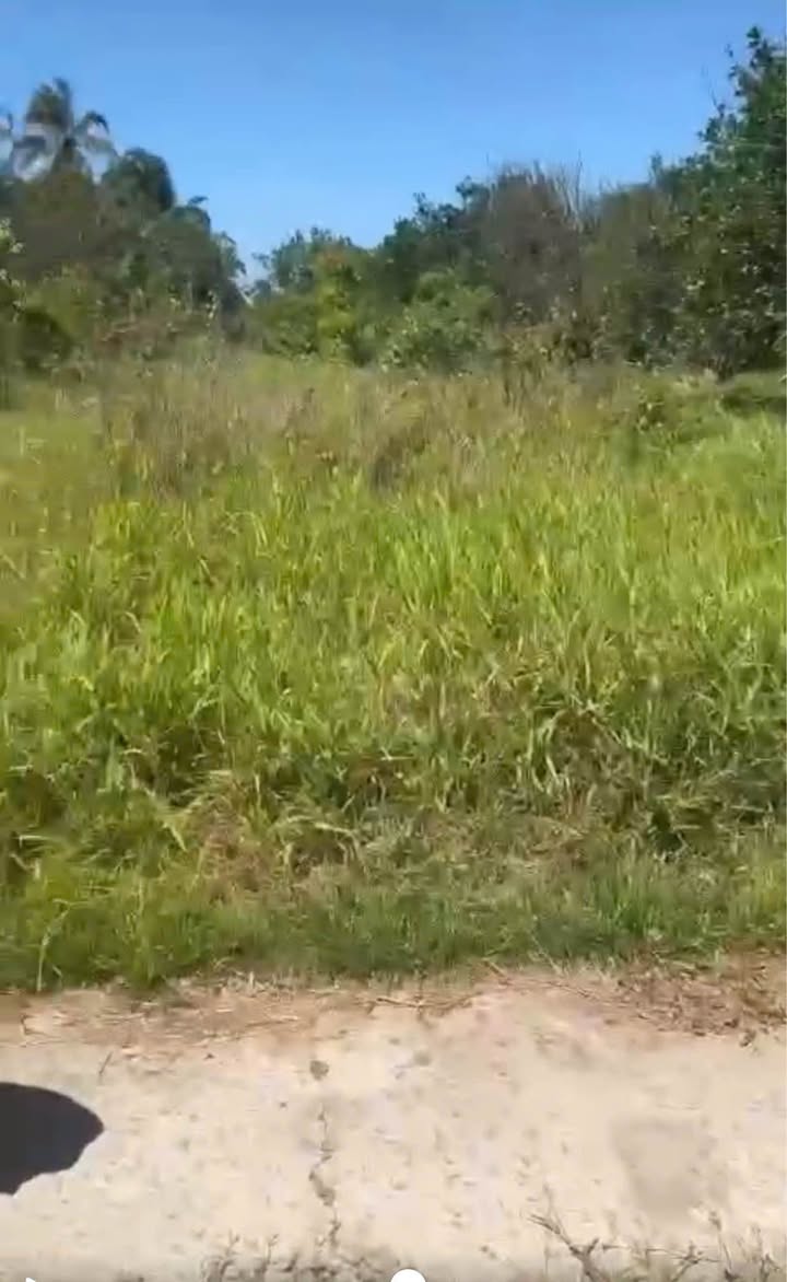 Đất vườn Quới Thành 911m² giá 680 triệu - Khu vực đông dân cư, tiện ích đầy đủ!