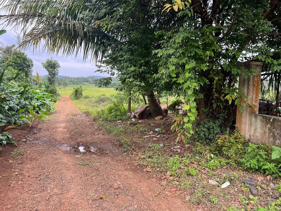 Đất nền Ea Tiêu, Cư Kuin 235m² - Cơ hội đầu tư tuyệt vời!