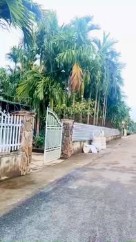 Đất nền Ea Tiêu 500m² giá 1.8 tỷ - Cách nhà thờ Giáo Xứ Tân Hoà 200m