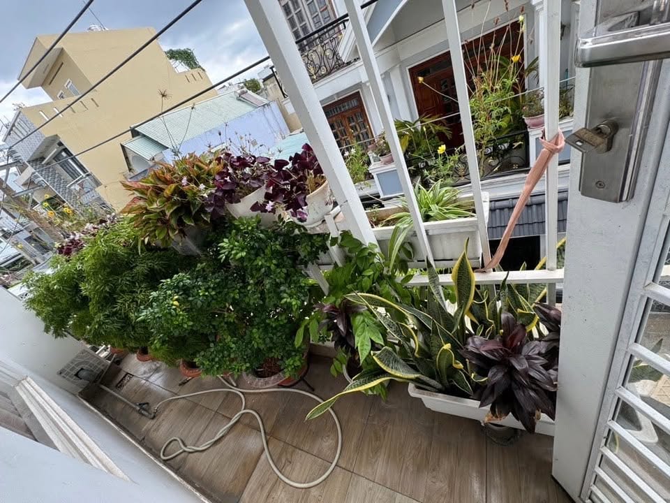 Nhà riêng đường Số, Bình Trưng Đông, Quận 2 - 71m² giá 6.5 tỷ - Nở hậu tài lộc, vào ở ngay!