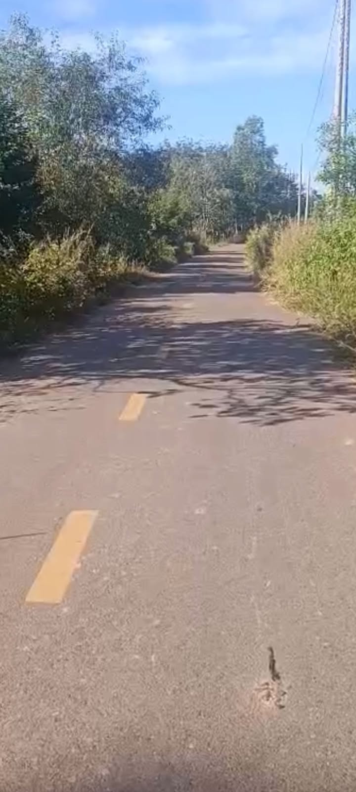 Đất nền Hòa Hội Xuyên Mộc 1000m² giá 800 triệu - Cơ hội đầu tư hấp dẫn!