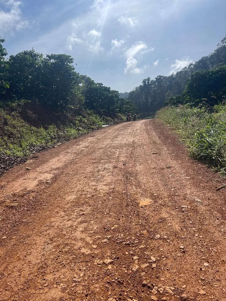 Đất nền Đinh Trang Thượng Di Linh 2700m² giá 300 triệu - Sổ đỏ chính chủ