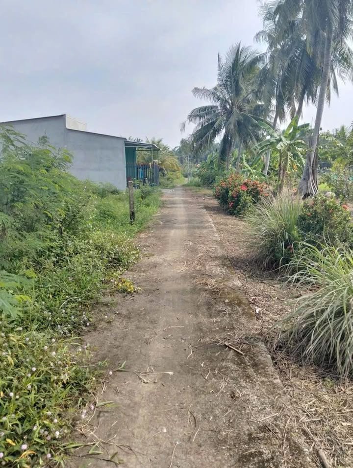 Đất nền An Thạnh Thủy 250m² giá 300 triệu - Đầu tư sinh lời ngay!