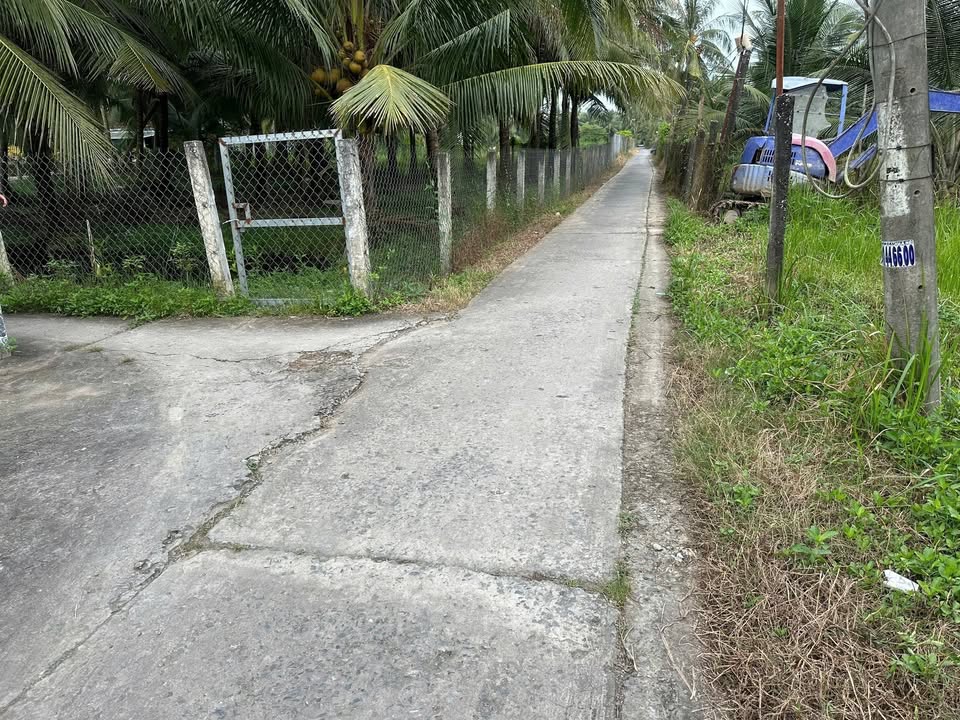 Đất nền thổ cư 100m² chỉ từ 275 triệu tại An Thạnh Thủy - Cơ hội đầu tư vàng!