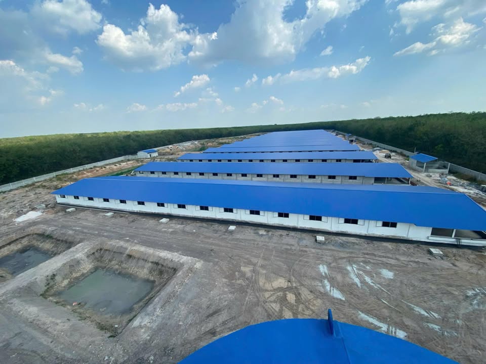 Bán trại heo thịt 86.000 m² tại Tân Châu, Tây Ninh - Trại mới 100%, sẵn sàng vận hành!