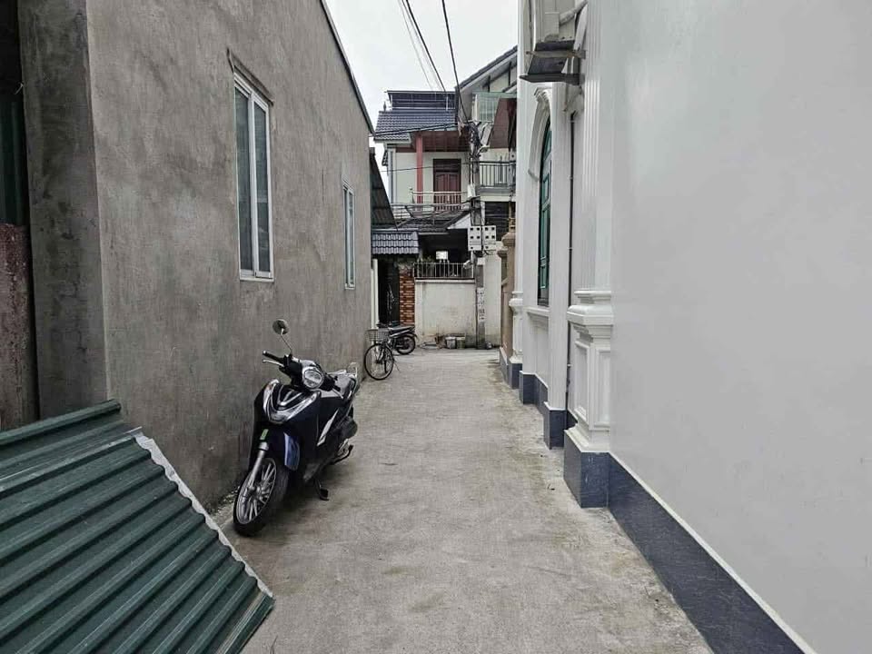 Đất nền Ninh Hiệp 50m² giá 4.x tỷ - Cơ hội đầu tư hiếm có!