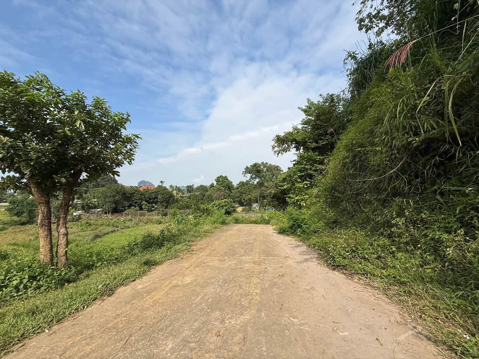 Đất nghỉ dưỡng Cao Sơn Lương Sơn 24.000m² giá 10 tỷ - View cánh đồng tuyệt đẹp!