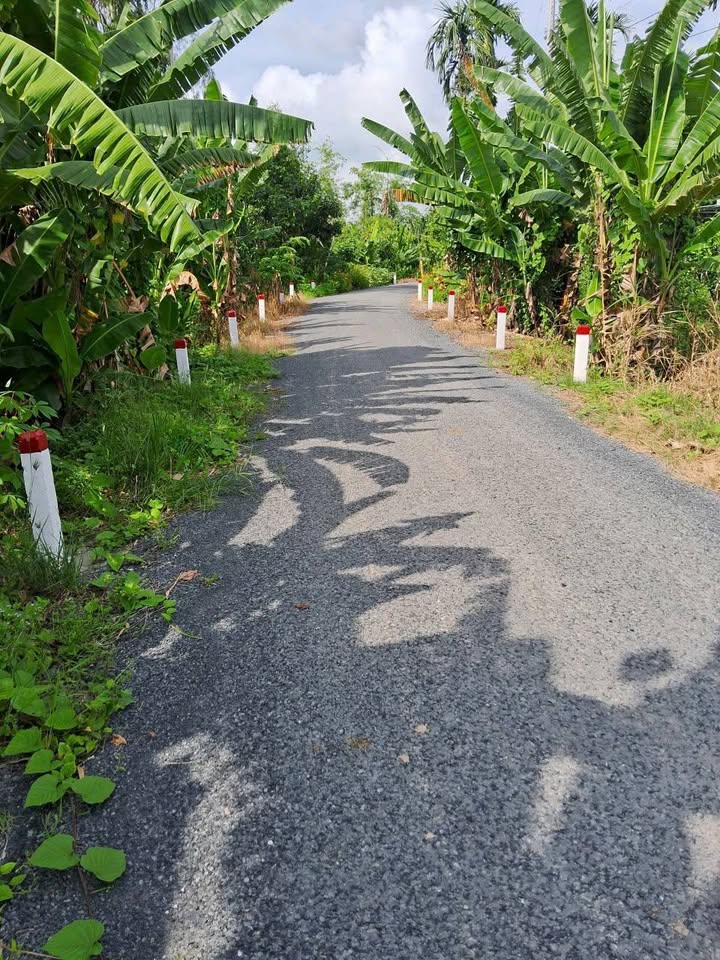 Đất nghỉ dưỡng Nhị Mỹ Cao Lãnh 2900m² giá 1 tỷ - Tiềm năng sinh lời cao!