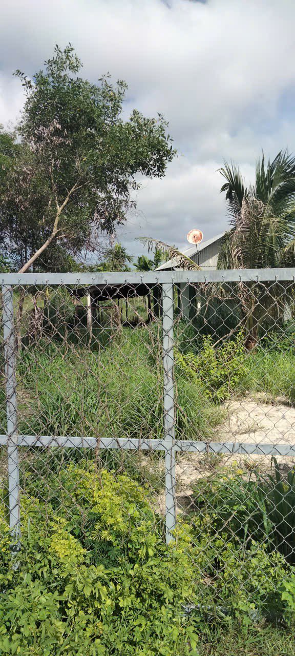 Đất thổ cư Phước Vinh, Tây Ninh 17.000m² giá 2.5 tỷ - Tiềm năng đầu tư lớn!