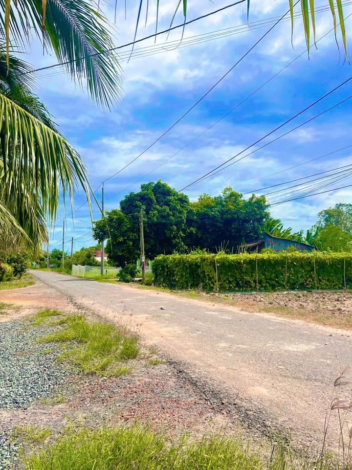 Đất thổ cư Hảo Đước, Châu Thành 2350m² - Giá chỉ 200 triệu!