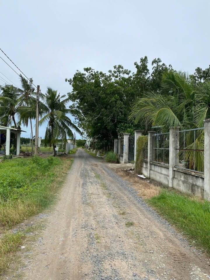 Đất nền Bàu Năng Dương Minh Châu 1050m² giá rẻ - Cơ hội đầu tư tuyệt vời!