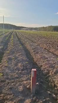 Đất nền Tân Hội, Tỉnh Tây Ninh 9500m² giá 1.1 tỷ - Gần khu dân cư, tiện lợi cho đầu tư!