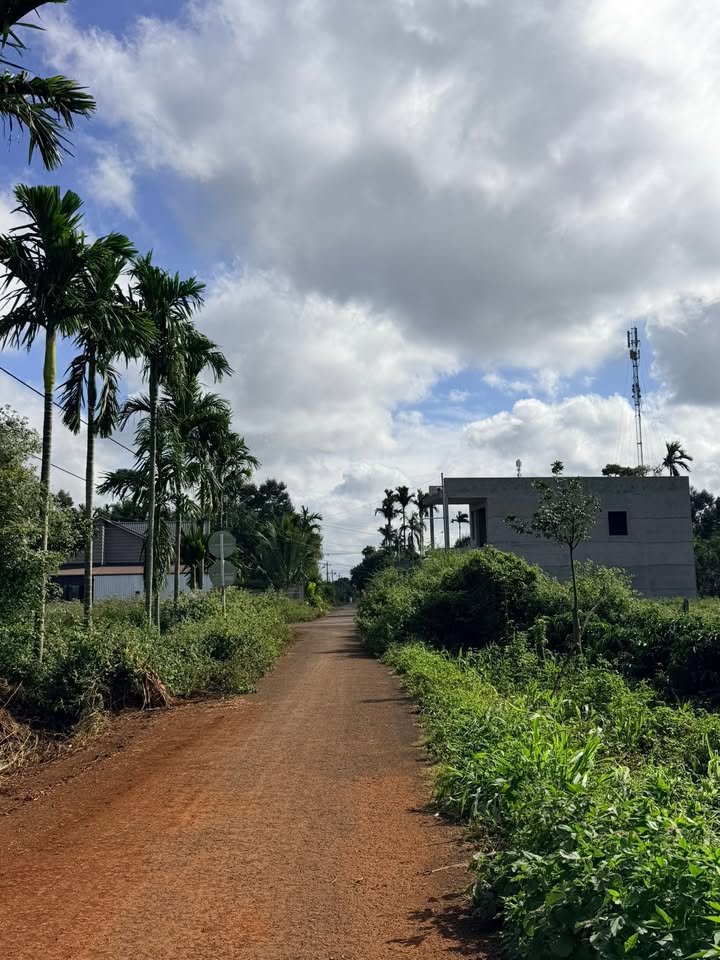 Đất thổ cư 530m² Hẻm 171 Nguyễn Thái Bình, Tân Lập, Buôn Ma Thuột - Tiềm năng đầu tư cao!