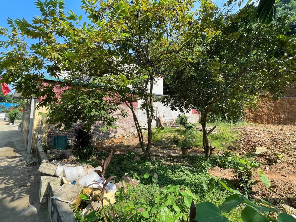 Đất nền trung tâm Yên Bái 77m² giá chỉ 1 tỷ - Tâm điểm vàng không thể bỏ lỡ!