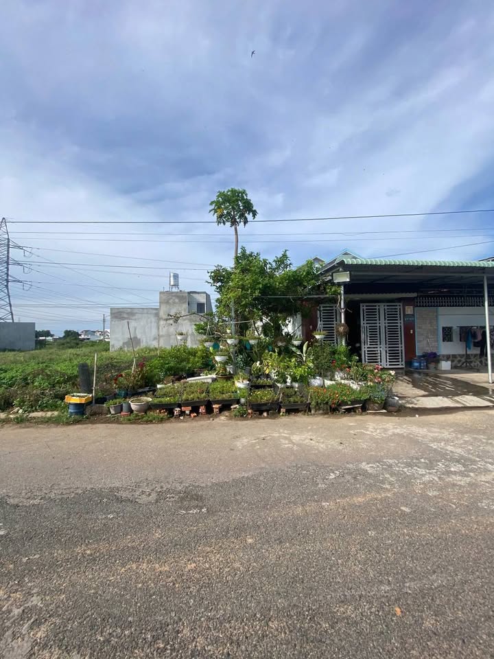 Đất nền Hàm Liêm 95m² giá 1.2 tỷ - Sổ hồng riêng, đầu tư sinh lợi!