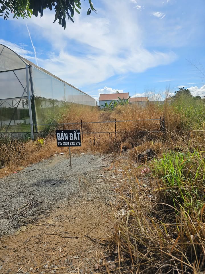 Đất mặt tiền đường DH15, xã Quảng Lập, huyện Đơn Dương, Lâm Đồng, 288m² - Cơ hội đầu tư tuyệt vời!