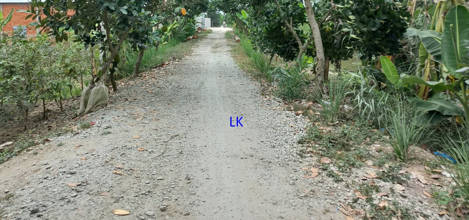 Bán đất lúa 15.000m² tại xã Láng Biển, Tháp Mười - Giá chỉ 3.2 tỷ!