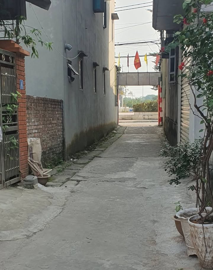Bán đất 58m² đường Ỷ Lan, Gia Lâm - Giá chỉ 5.3 tỷ, sổ đỏ chính chủ!