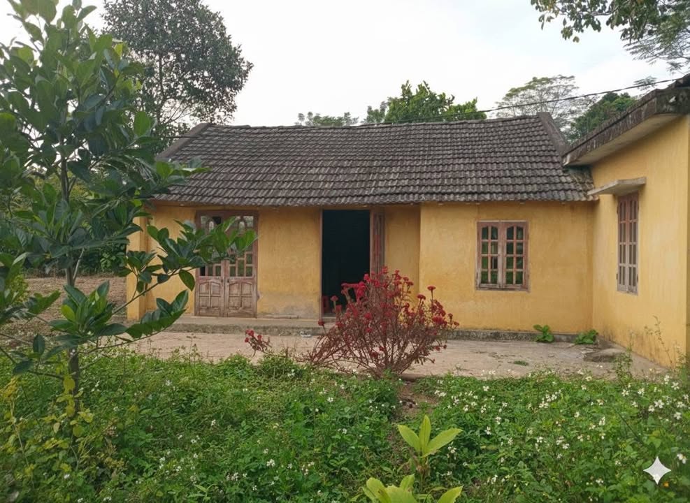 Đất nền xã Vô Tranh Thái Nguyên 1200m² giá 970 triệu - Cơ hội đầu tư tuyệt vời!