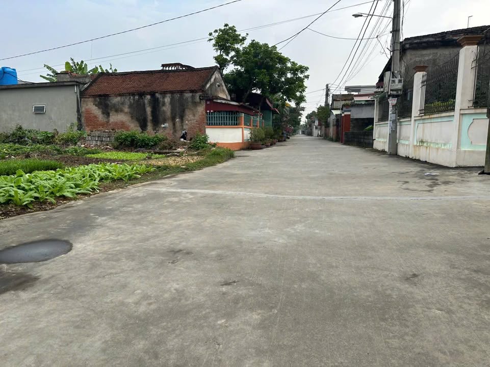 Đất thổ cư Thụy Chính - Thái Thụy 86.5m² & 95.5m² - Kinh doanh thuận lợi!