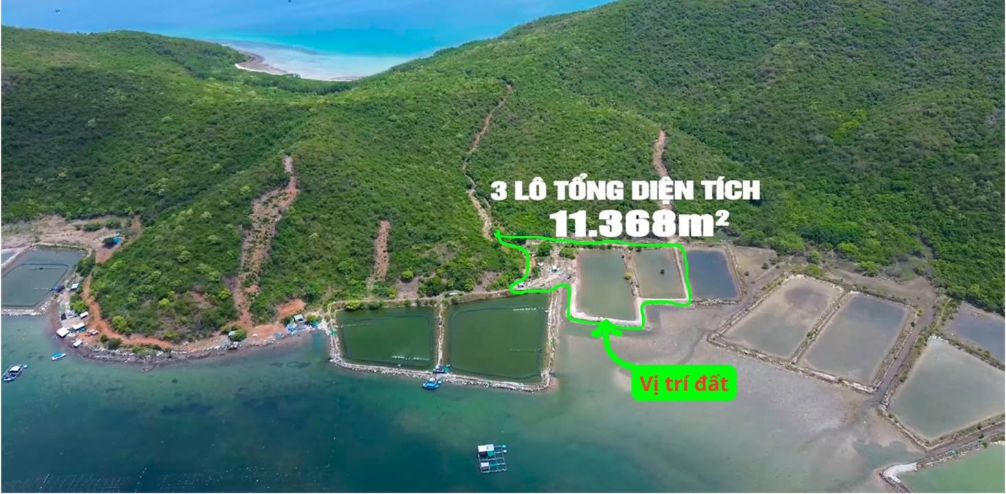 Đất mặt biển Bắc Vân Phong 11368m² giá 4.5 tỷ - Cơ hội đầu tư độc quyền!