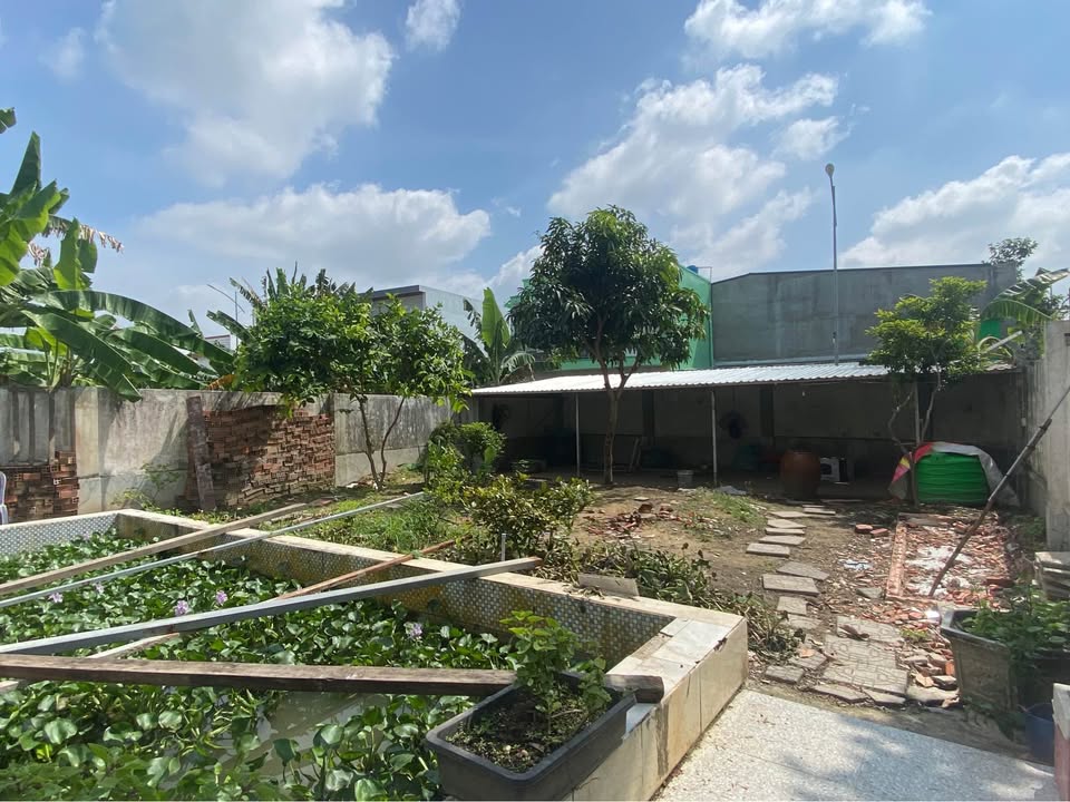 Shophouse cho thuê đường Vũ Đức, Rạch Giá 275m² - Phù hợp làm văn phòng hoặc siêu thị!