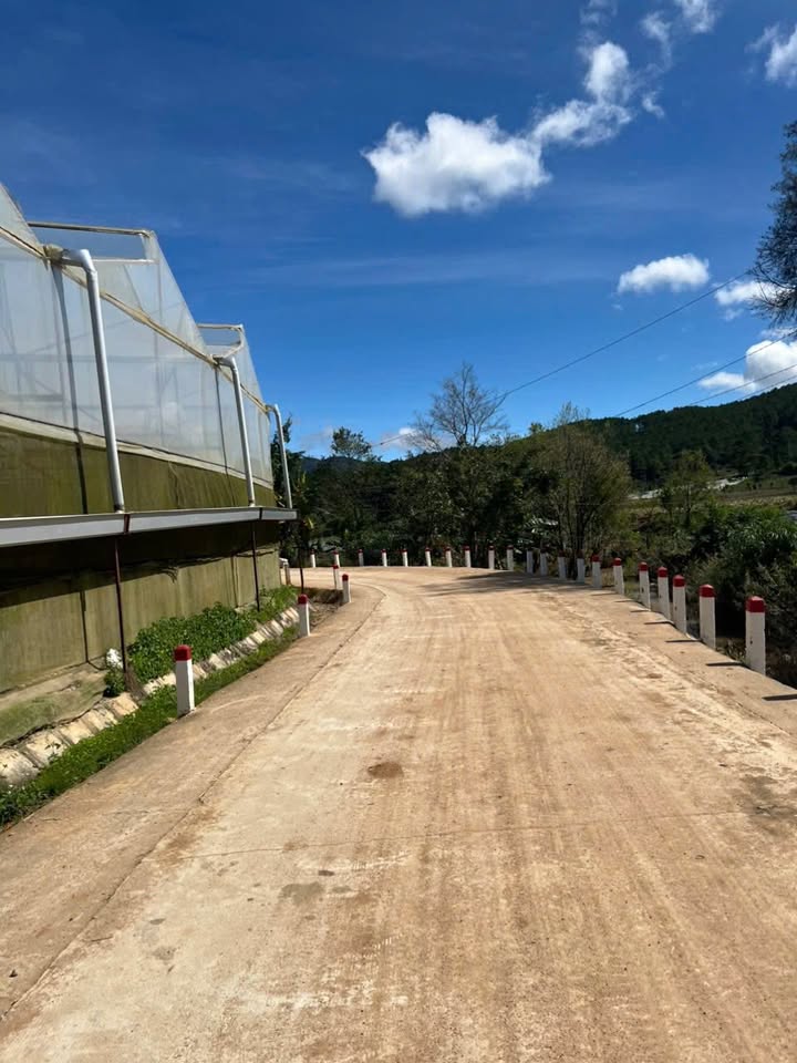 Đất nền 1,2 sào tại xã Ka Đô, Đơn Dương - Giá 700 triệu, đất chất lượng cao!