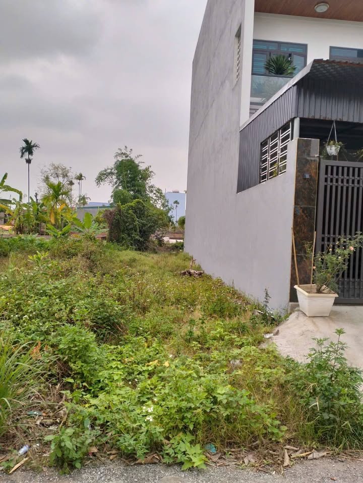 Đất nền đường Đá - Hoa Động - Thủy Nguyên - 100m² giá 4 tỷ - Đầu tư sinh lời hấp dẫn!