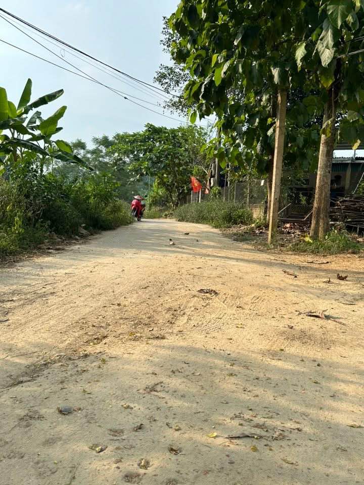 Đất thổ cư xã Lưỡng Vượng 300m² giá thỏa thuận - Vị trí đẹp, thuận tiện giao thông!