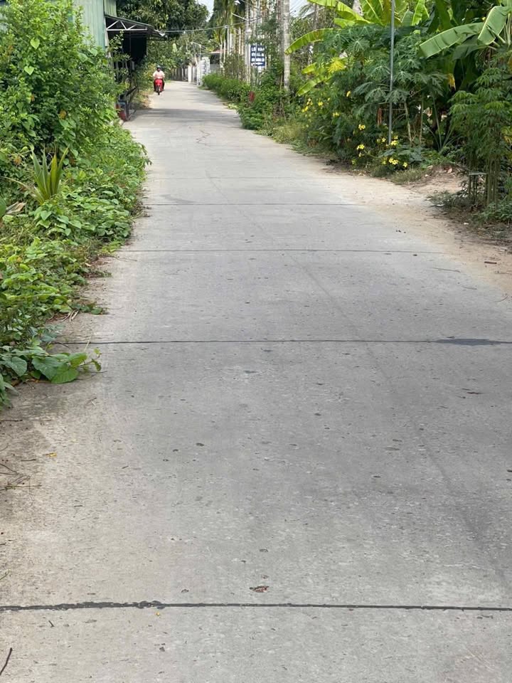 Đất nền Trường Thuận, Thới Lai, Cần Thơ 150m² chỉ 970 triệu - Cơ hội đầu tư sinh lời!