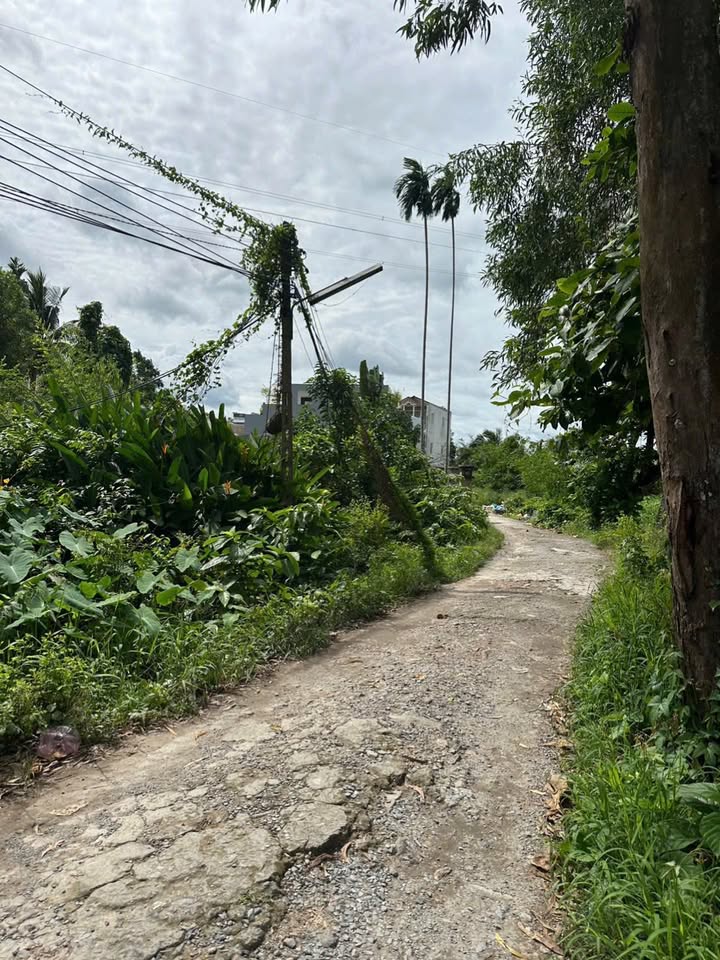 Đất nền 200m² tại Bình Thủy, Cần Thơ - Giá chỉ 2.5 tỷ, 2 mặt tiền!