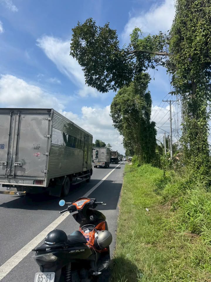 Đất nền Nhơn Ái Phong Điền 360m² - Mặt tiền Quốc lộ 61C, giá tốt bất ngờ!