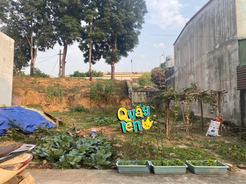 Đất thổ cư Hóa Thượng, Đồng Hỷ 136m² giá 1.8 tỷ - Cơ hội đầu tư tuyệt vời!