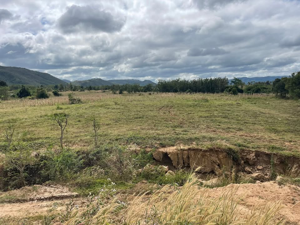 Đất nông nghiệp 3.8ha tại xã Ea H'Leo, Đắk Lắk - Giá chỉ 2 tỷ, cơ hội không thể bỏ lỡ!