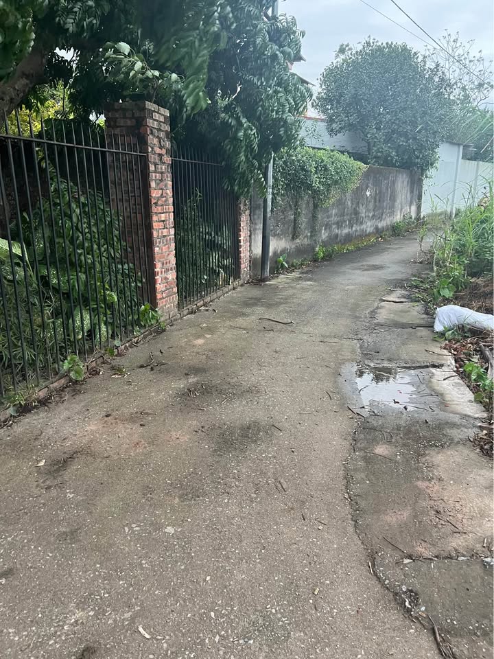 Đất nền Phú Thị Gia Lâm 62m² giá chỉ 3 tỷ - Cơ hội đầu tư tuyệt vời!