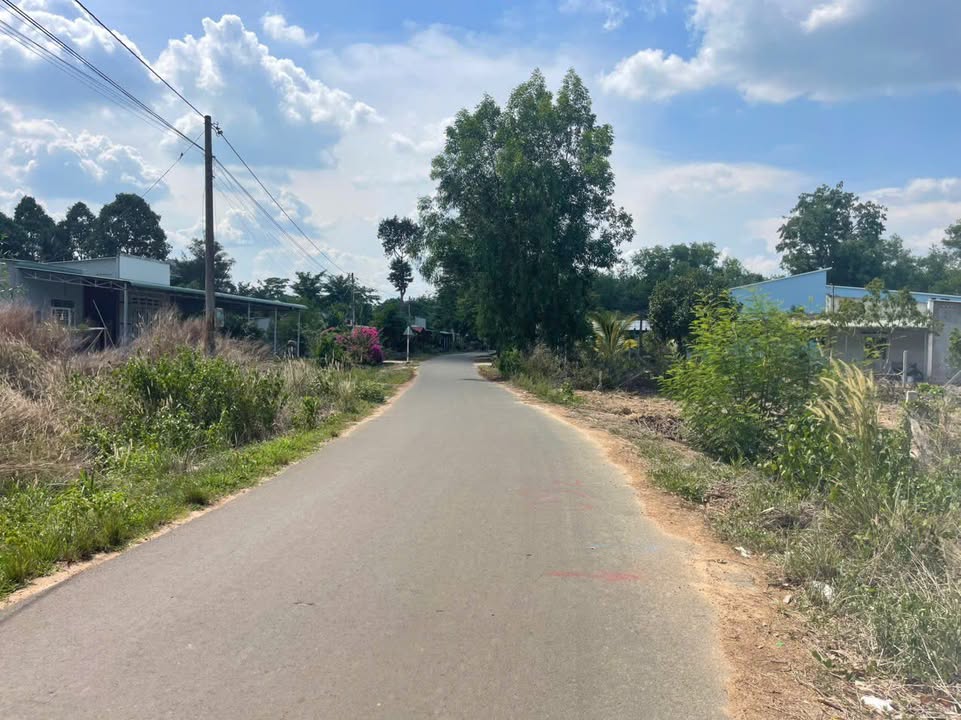 Đất nền Minh Thạnh Dầu Tiếng 477m² giá chỉ 8xx triệu - Cơ hội đầu tư sinh lời!