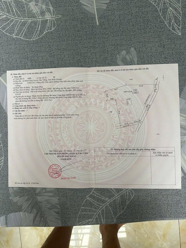 Đất nền Minh Hòa Dầu Tiếng 21600m² giá 2 tỷ - Đầu tư sinh lời ngay!