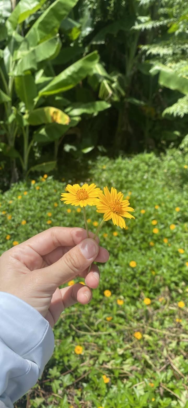 Đất ở đô thị Phú Thịnh 123m² giá chỉ 4xx triệu - Cơ hội đầu tư hiếm có!