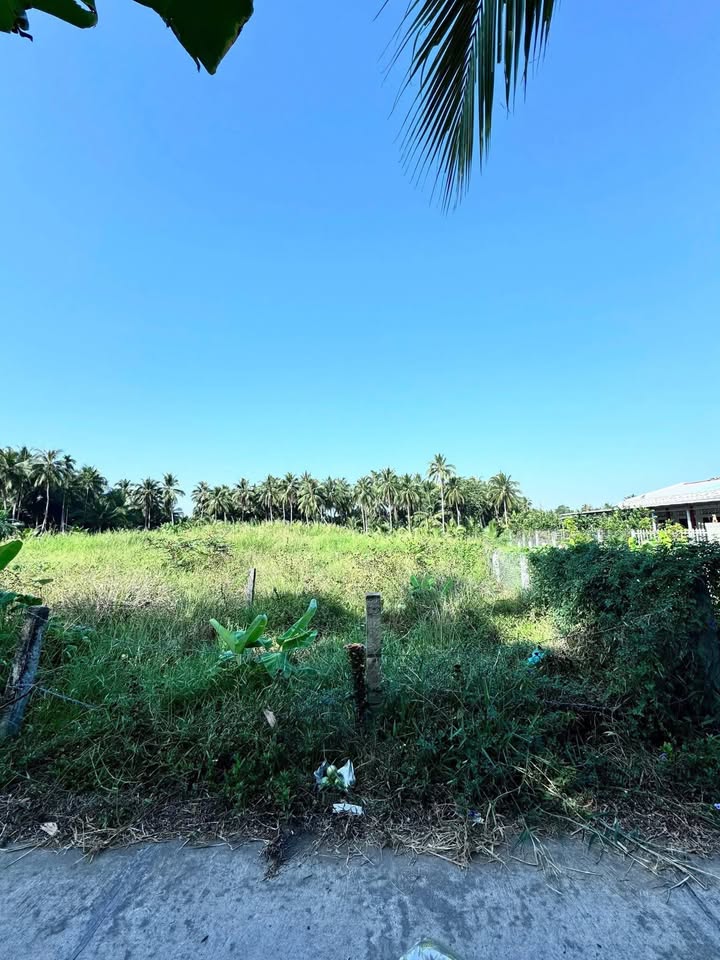 Đất nền 115m² tại Thạnh Nhựt, Gò Công Tây chỉ 335 triệu - Cơ hội đầu tư sinh lời!