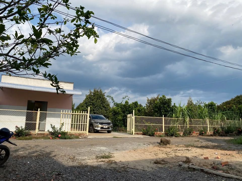 Farm 2.500m² tại Định Quán, Đồng Nai - Đầu tư nghỉ dưỡng lý tưởng chỉ 1 tỷ!