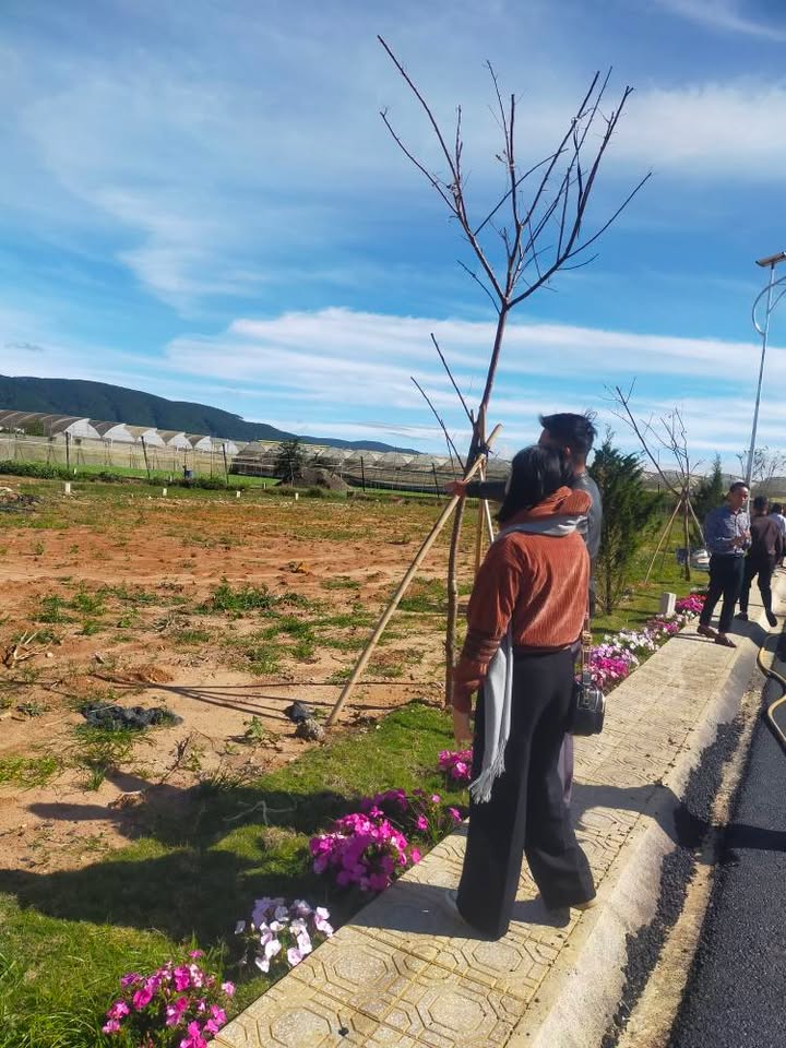 Đất thổ cư 250m² Thạnh Mỹ, Đơn Dương - Đầu tư sinh lời ngay!