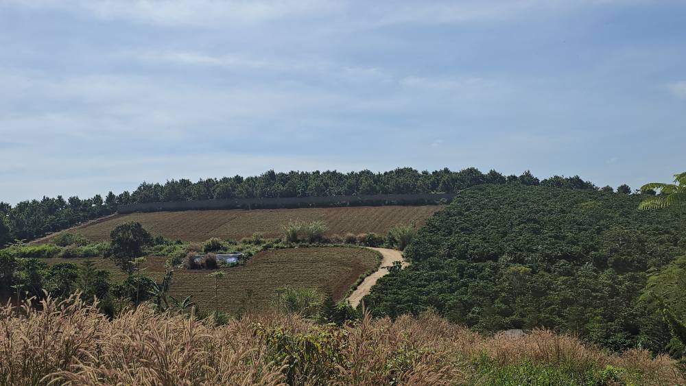 Đất nền góc 1150m² tại Nam Ban, Lâm Hà - Giá 2,8 tỷ, cơ hội đầu tư tuyệt vời!