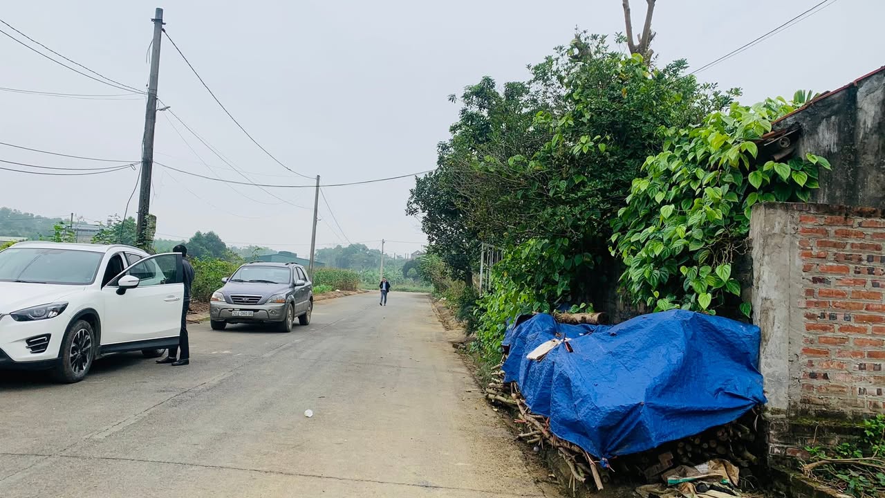 Đất nền khu tái định cư Trường Bắn Đồng Roi, Ba Vì - 87.9m² giá chỉ 3.075 tỷ VND!