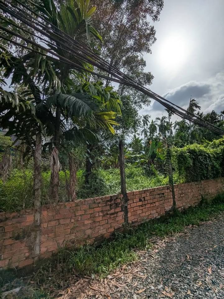 Đất thổ cư đường Thạnh Xuân 52, quận 12, diện tích 460m² giá 9.7 tỷ - Cơ hội đầu tư tuyệt vời!