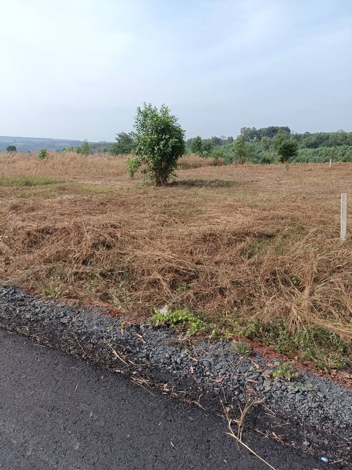 Đất nền ấp 2 xã Hòa Hội 3300m² giá thỏa thuận - Sổ đỏ chính chủ