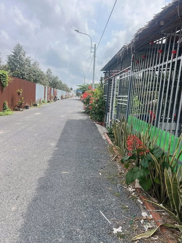 Đất nền Cái Vồn, Bình Minh 140m² giá 900 triệu - Vị trí đắc địa, đầu tư sinh lời!