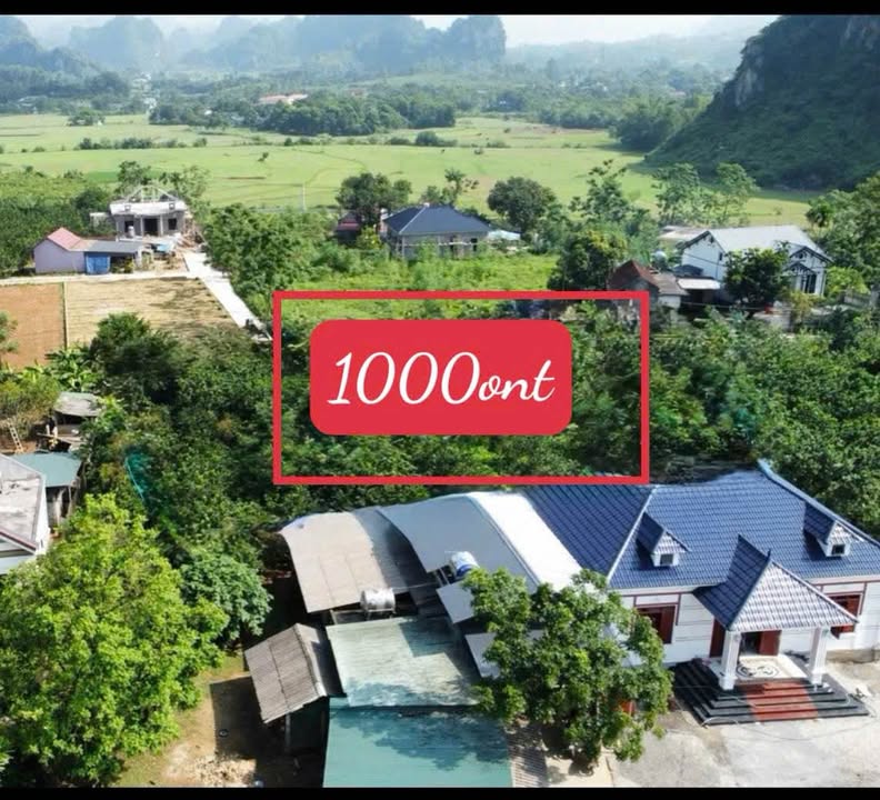 Đất nền Cao Dương, Lương Sơn, Hoà Bình 1000m² - Đầu tư lý tưởng cho tương lai!